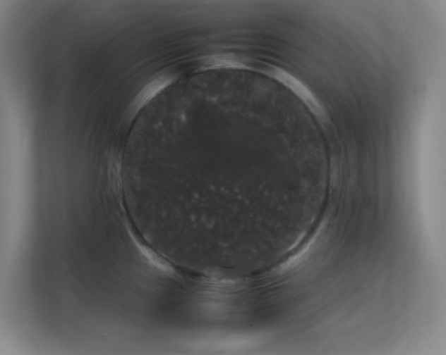 X0000113851241200909241241