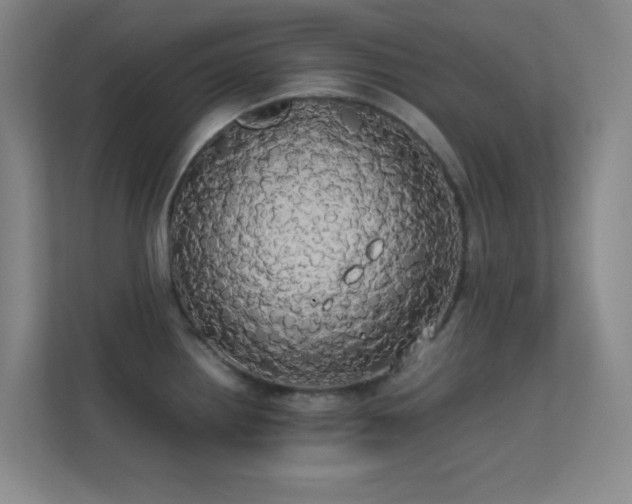 X0000113851242200909241241