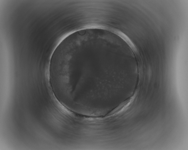 X0000113851244200909241241