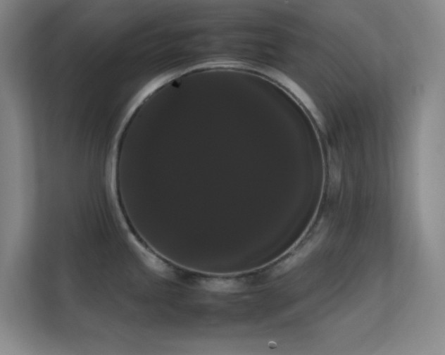 X0000113851245200909241241