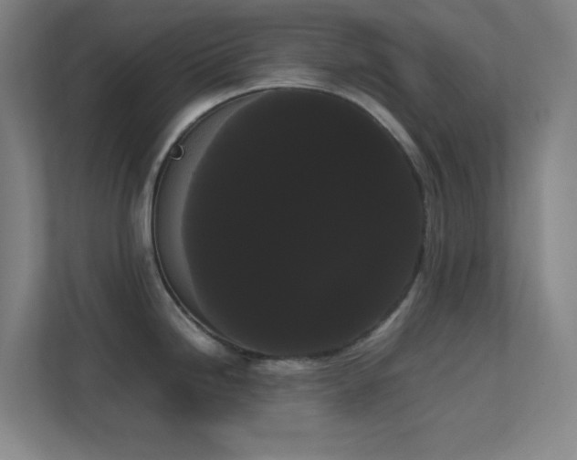 X0000113851246200909241241