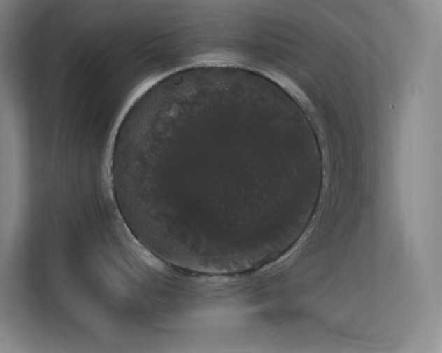 X0000113851248200909241241