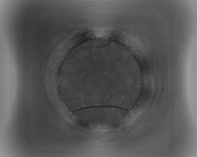 X0000113851249200909241240