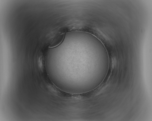 X0000113851250200909241240