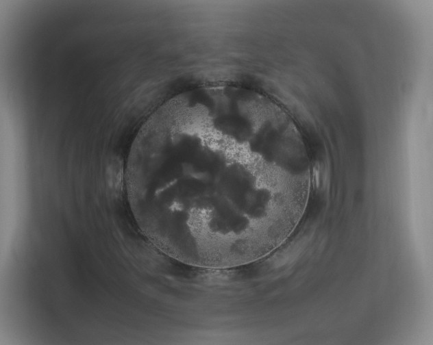 X0000113851251200909241240