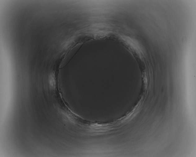 X0000113851252200909241240