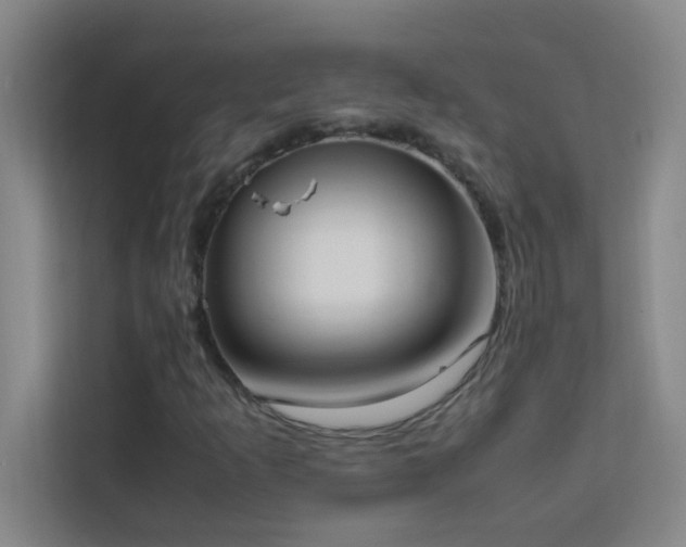 X0000113851253200909241240