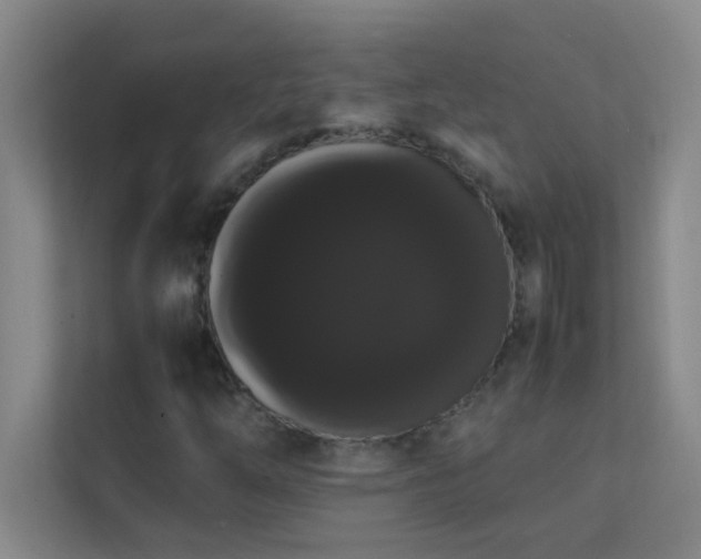 X0000113851254200909241240