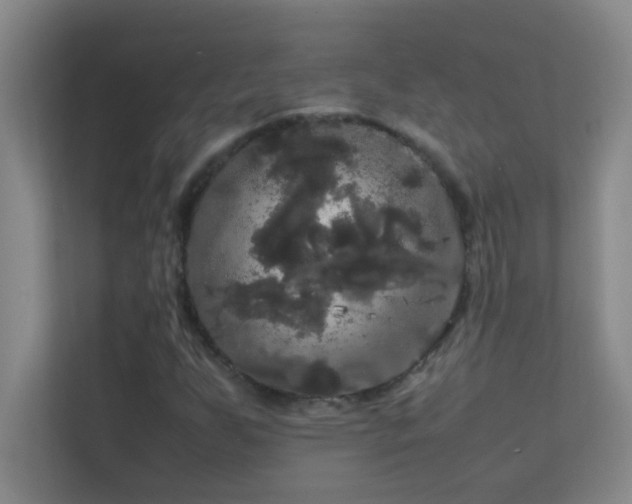 X0000113851255200909241240