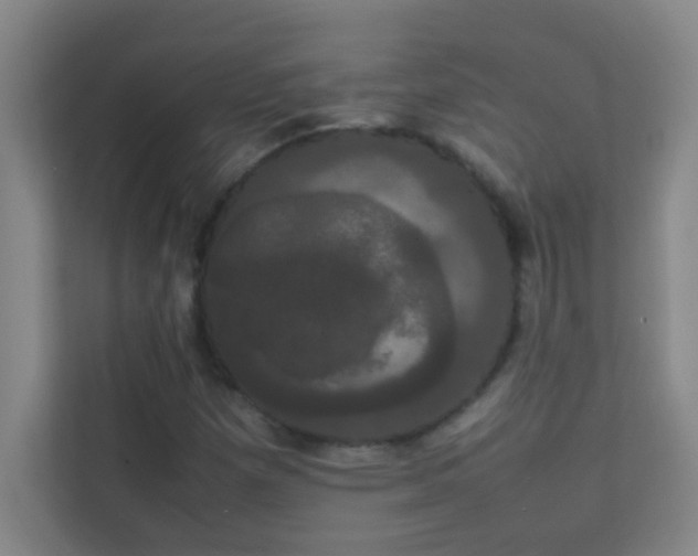 X0000113851257200909241240