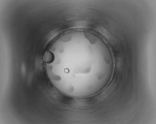 X0000113851258200909241240