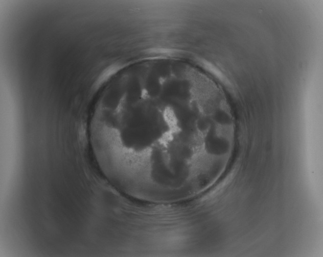 X0000113851259200909241240