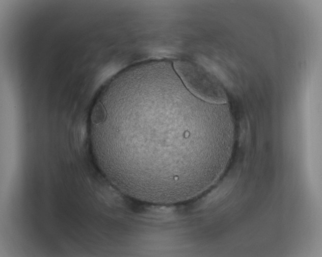 X0000113851261200909241240