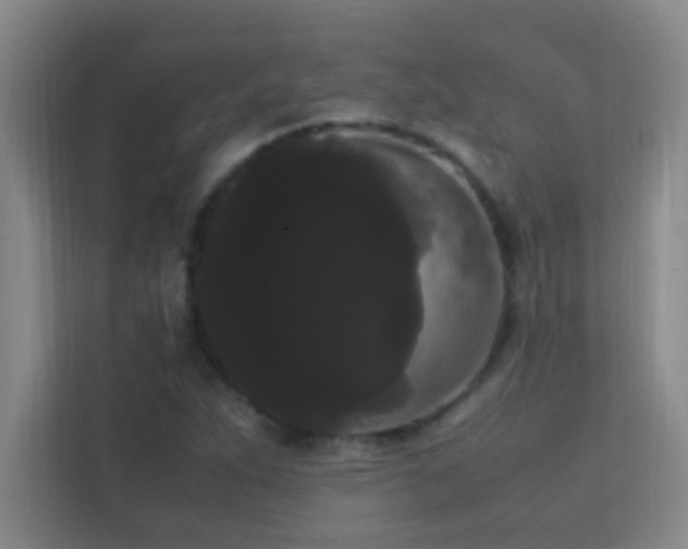 X0000113851263200909241240