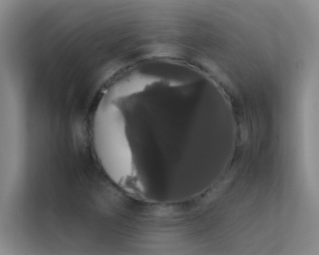 X0000113851266200909241240