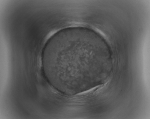 X0000113851267200909241240