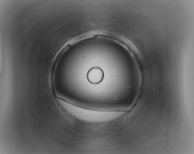 X0000113851268200909241240