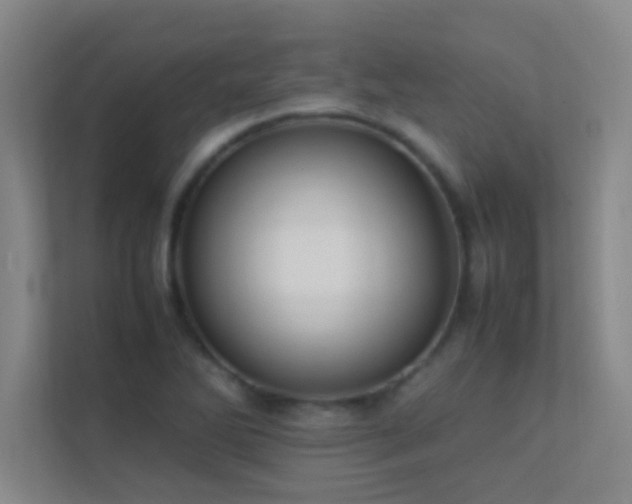 X0000113851270200909241240