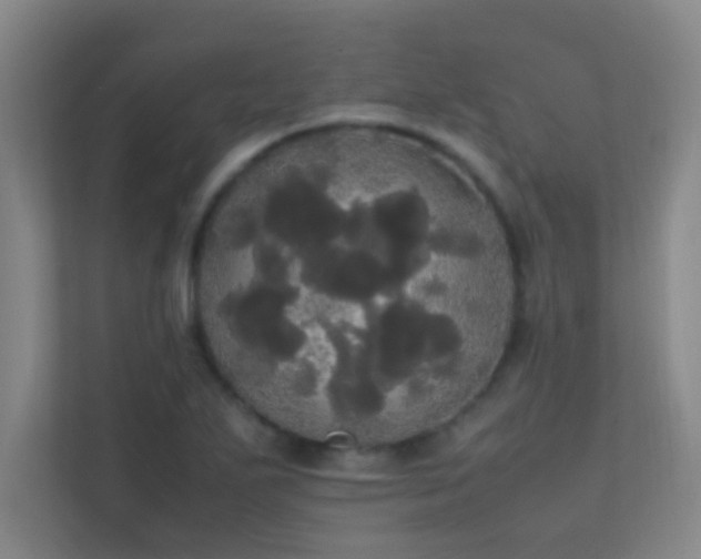 X0000113851271200909241240