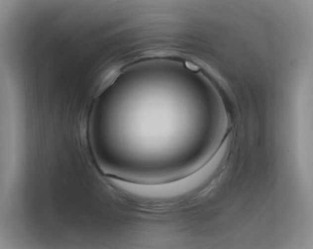 X0000113851273200909241240