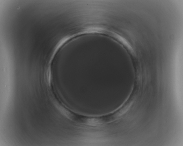 X0000113851275200909241240