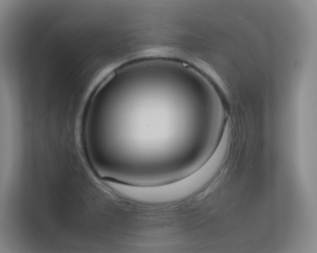 X0000113851277200909241240