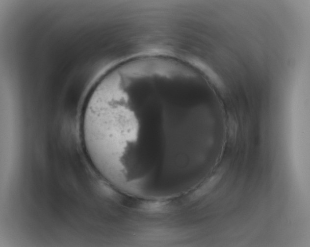 X0000113851278200909241240