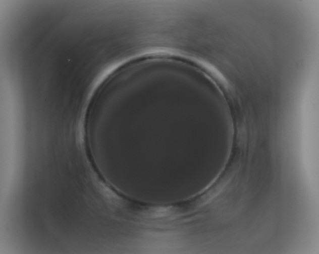 X0000113851279200909241240