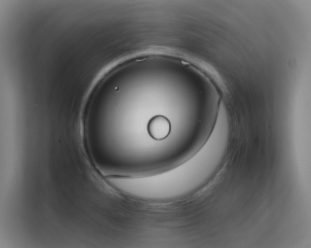 X0000113851280200909241240