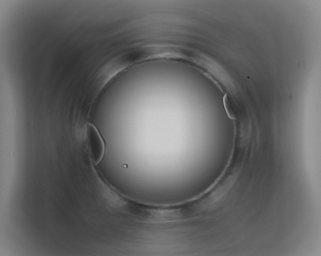 X0000113851281200909241240