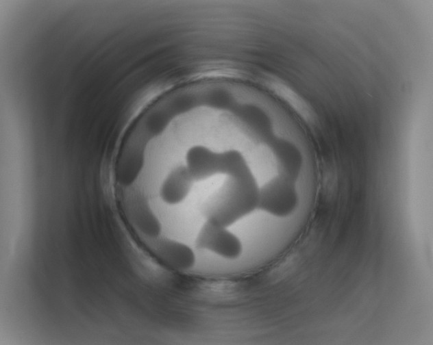 X0000113851282200909241240