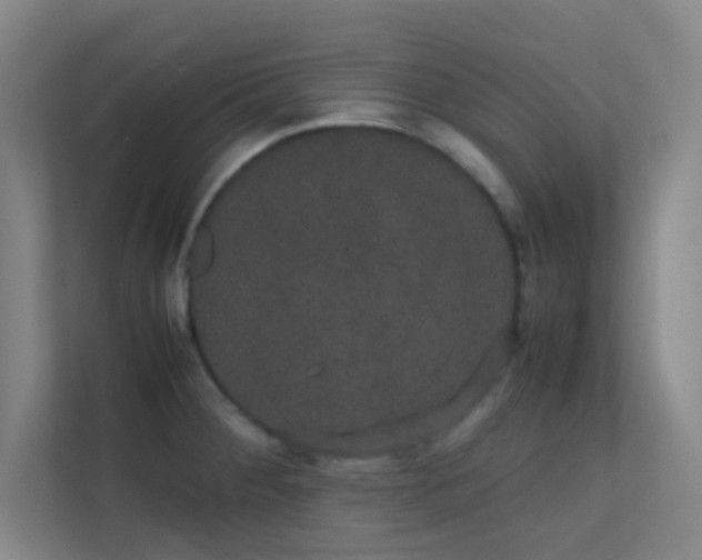 X0000113851284200909241240