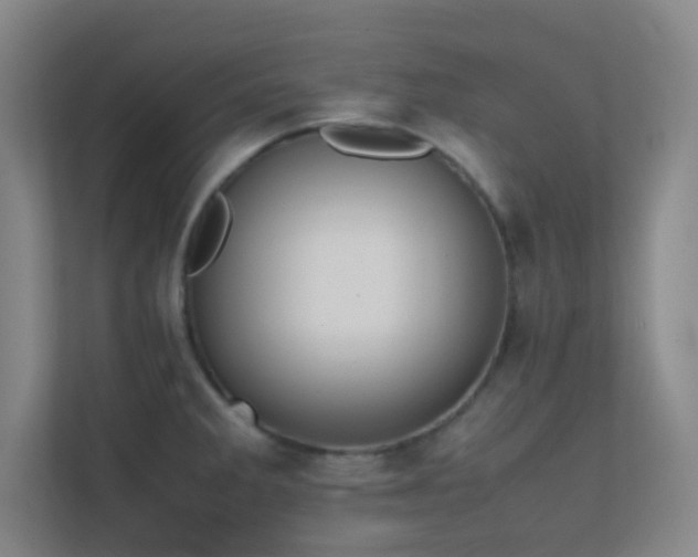 X0000113851285200909241240