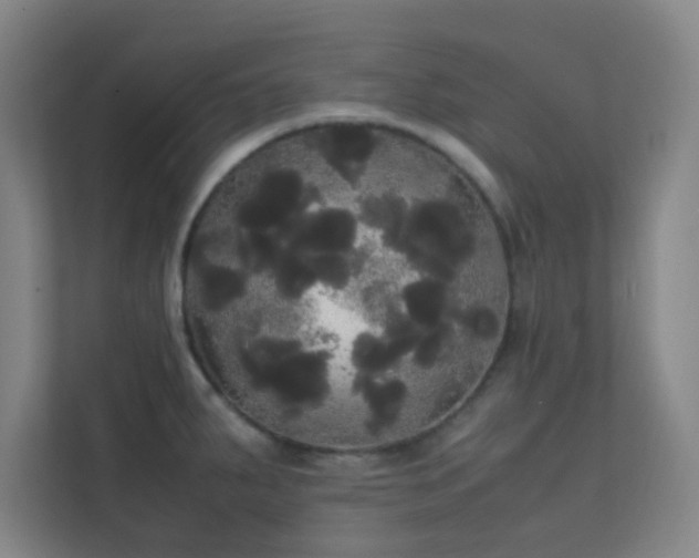 X0000113851287200909241240