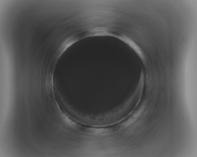 X0000113851289200909241240