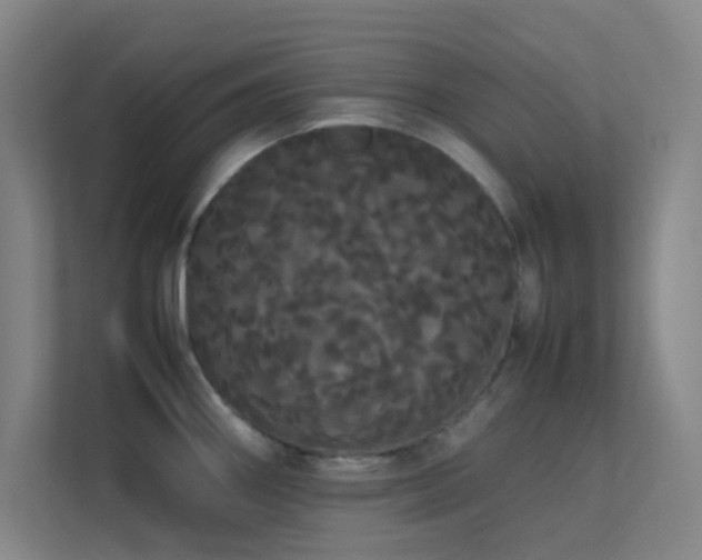 X0000113851290200909241240