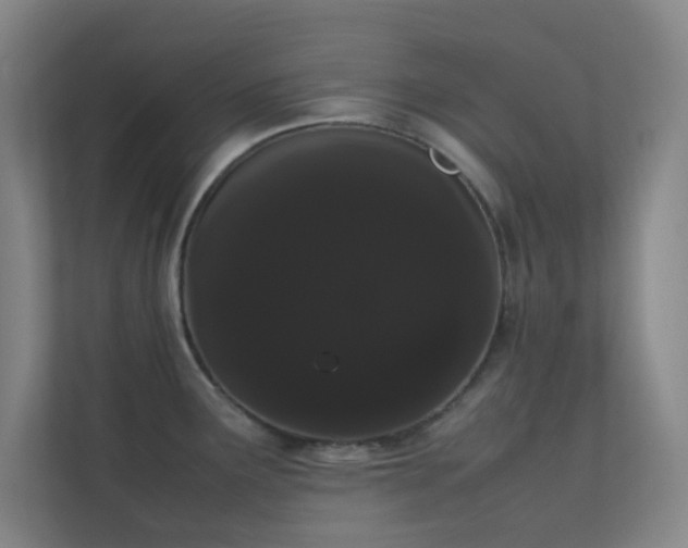 X0000113851291200909241240