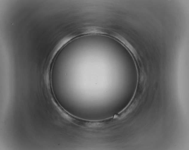 X0000113851293200909241240