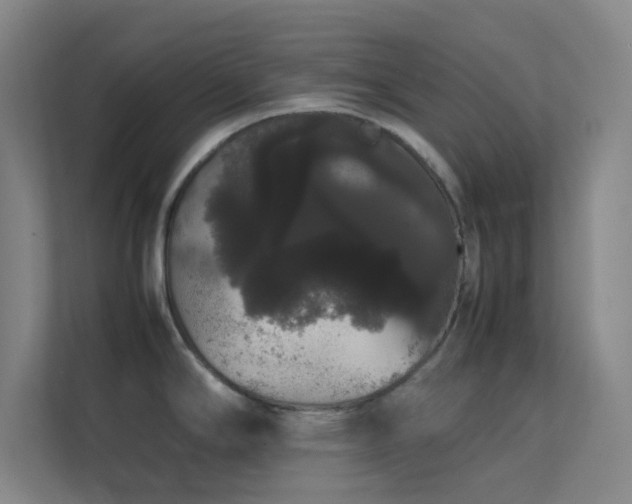 X0000113851294200909241240