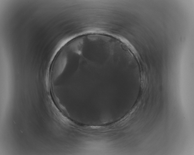 X0000113851295200909241240