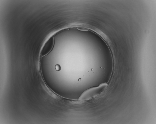 X0000113851296200909241240