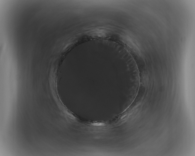 X0000113851297200909241239