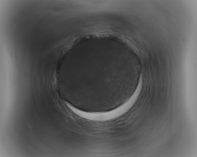 X0000113851298200909241239