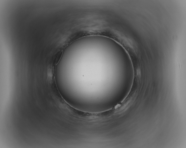 X0000113851300200909241239