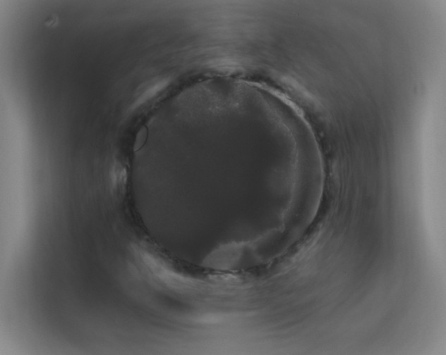 X0000113851302200909241239