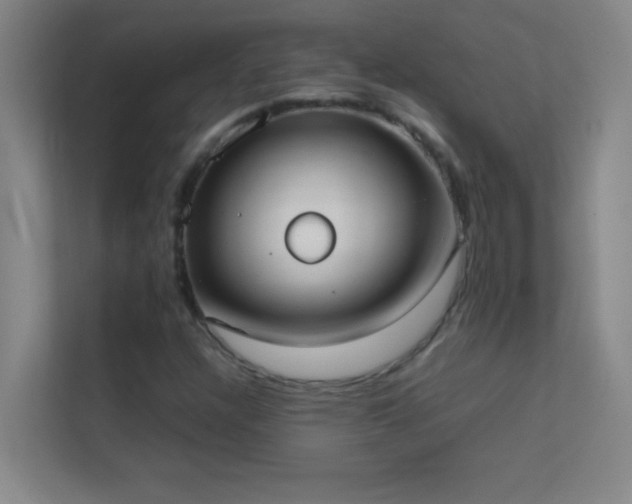 X0000113851304200909241239