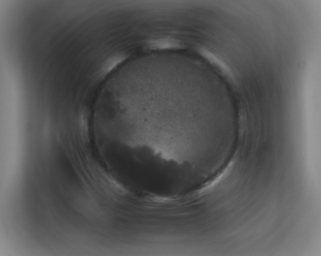 X0000113851305200909241239