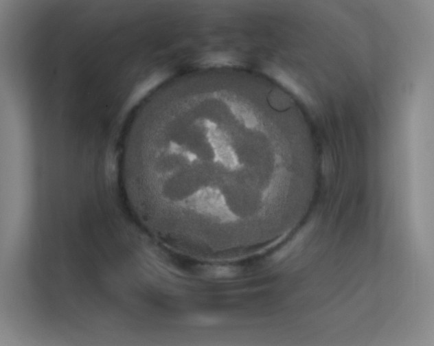 X0000113851309200909241239