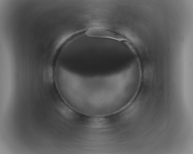 X0000113851310200909241239