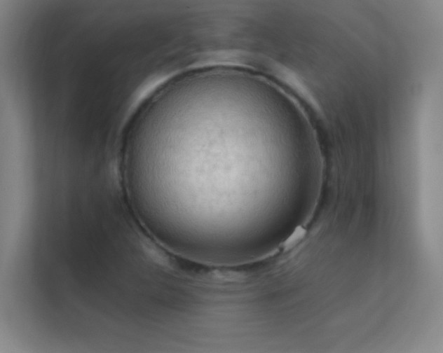 X0000113851312200909241239